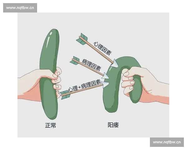 男科健康新视野:探讨男性常见疾病的预防与治疗策略