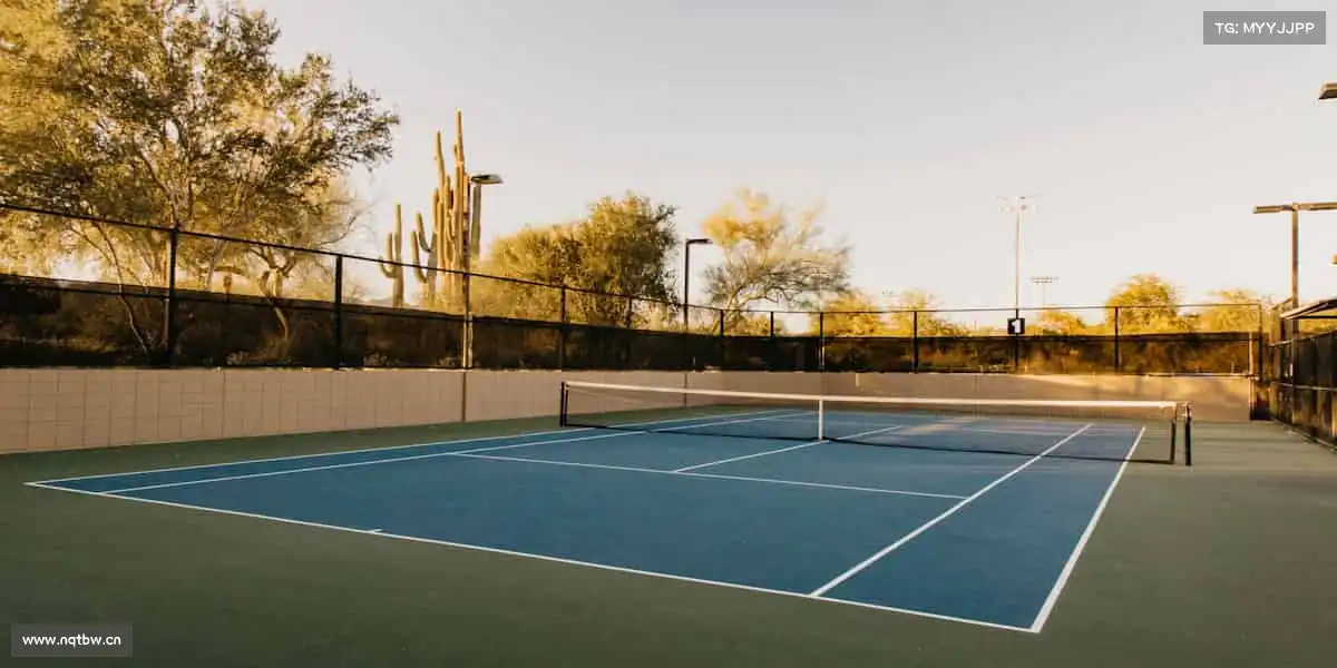 为什么选择我们